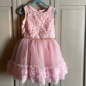 Disney’s Princess Aurora pink tulle dress.